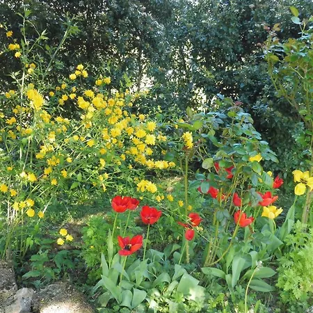 Panzió Le Bedigas 3*